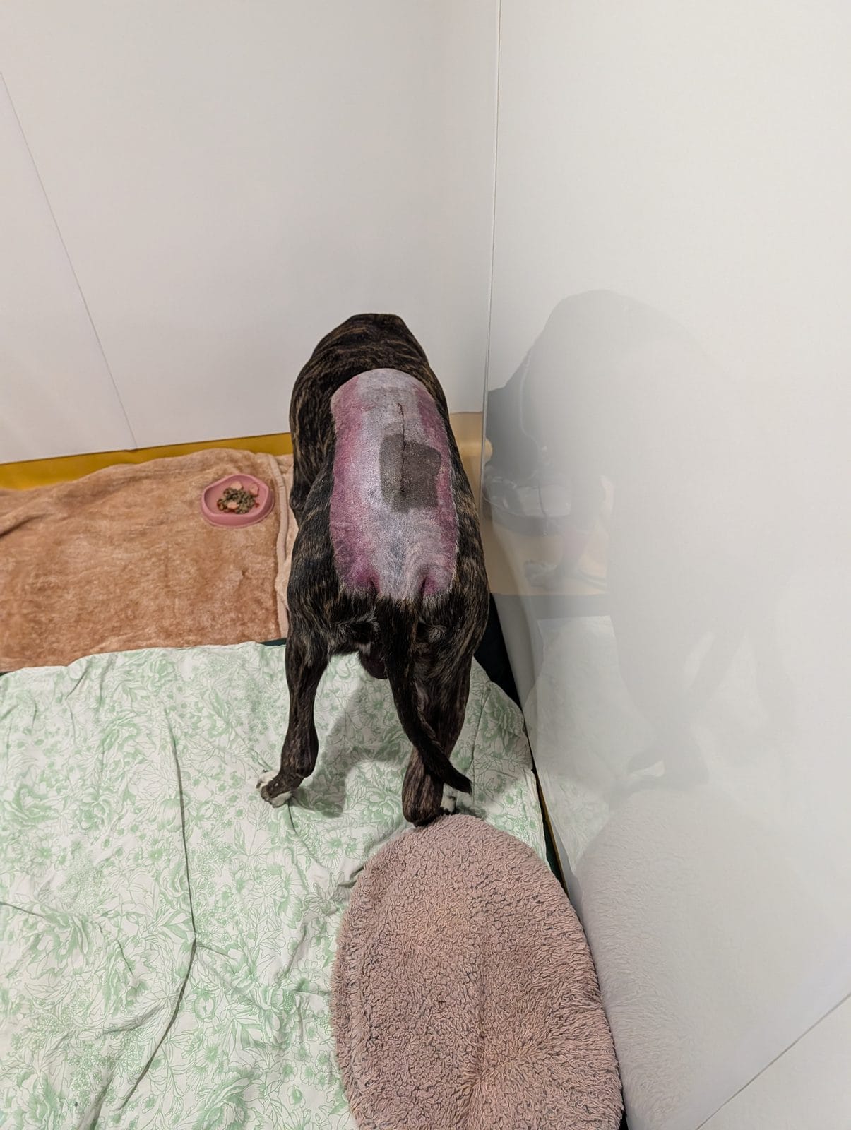 Massage the blood away