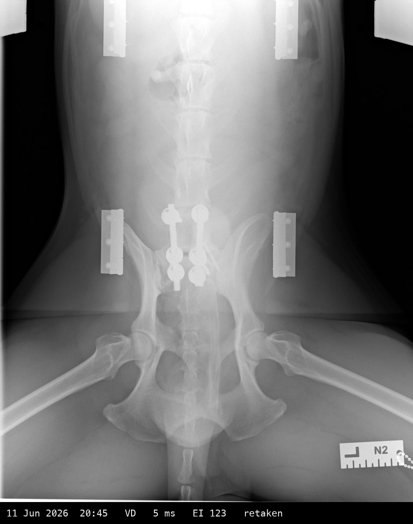 After-hours radiography lessons at Pride